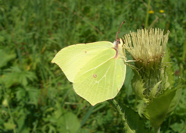 Natur genießen