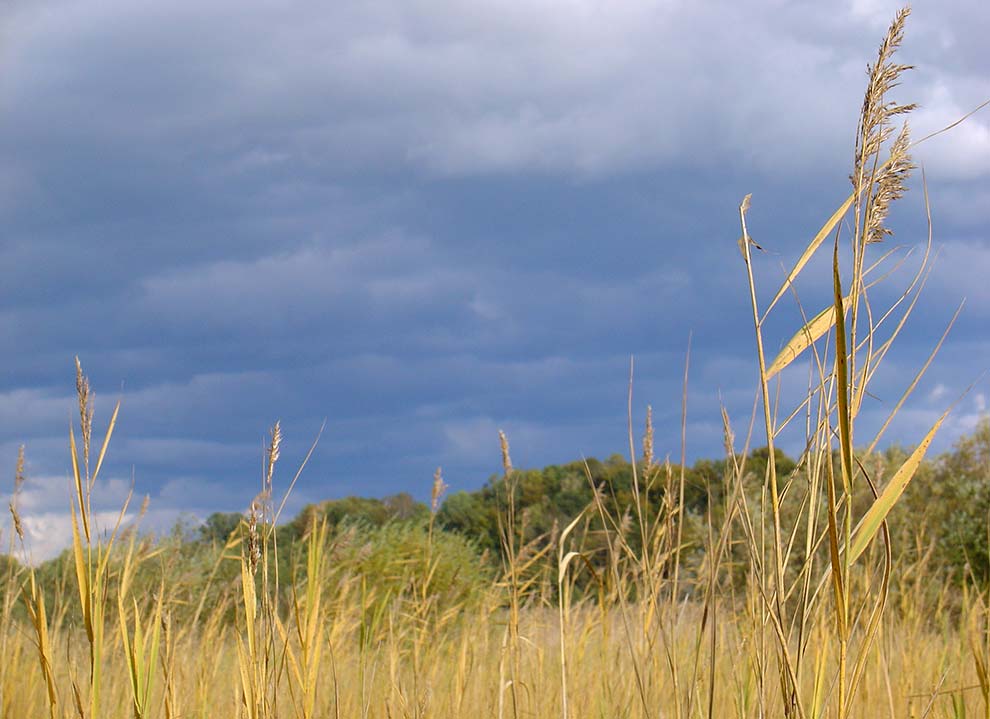 Herbststimmung in Oberbayern