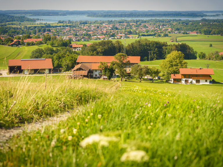 Weitläufige Wiesen umgeben den Ablingerhof, hinter dem der Chiemsee in der Sonne spiegelt