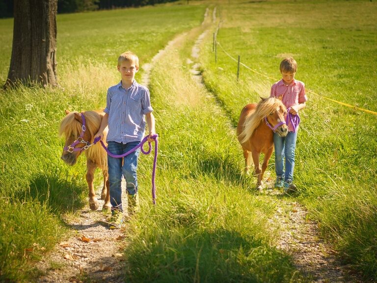 Zwei Kinder gehen mit Pferden auf einem Weg, der durch saftige Wiesen führt, spazieren.